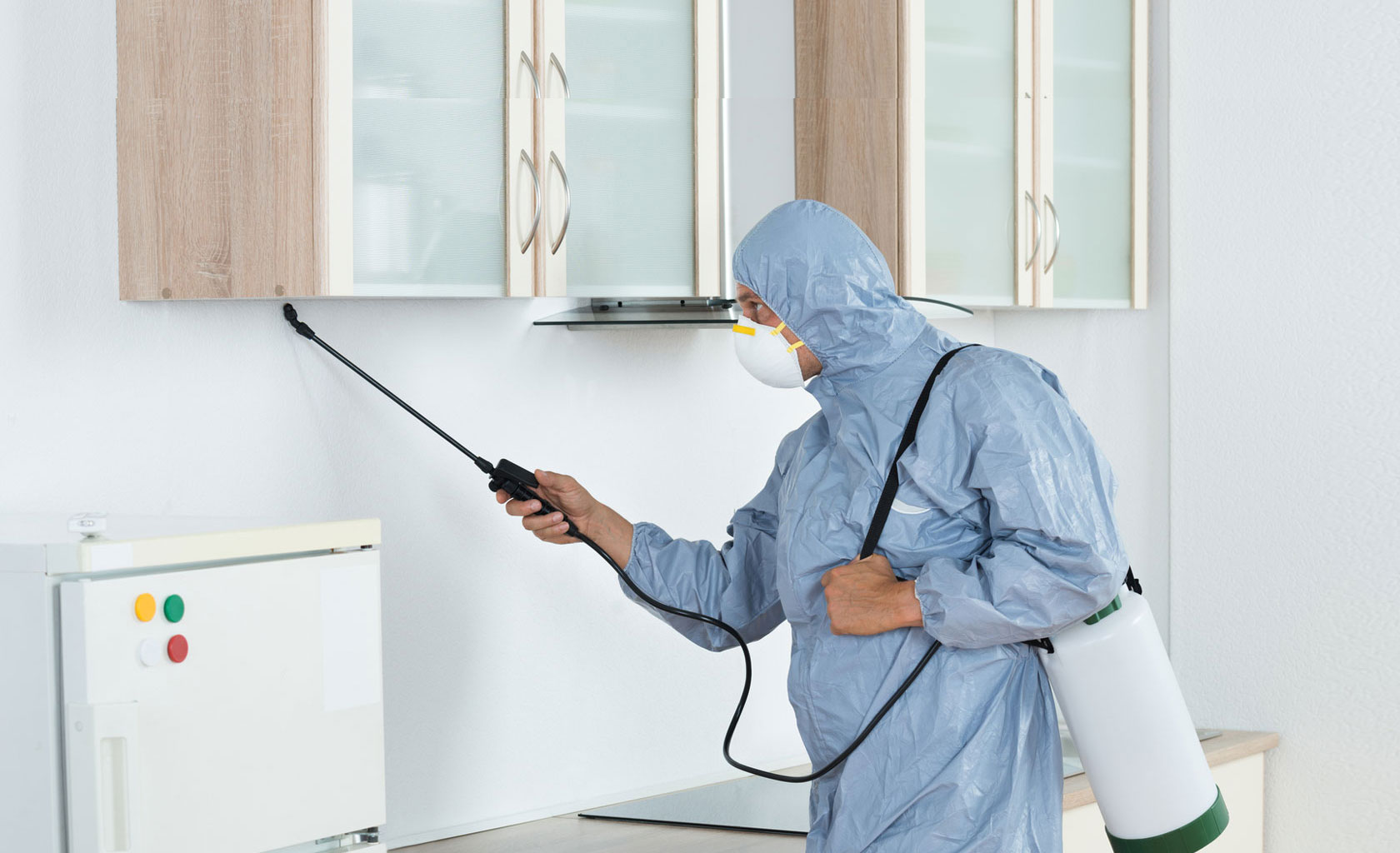 Advantages of a pest control service